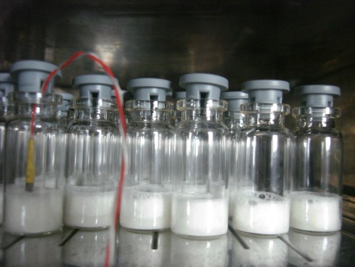 Freeze dried vials